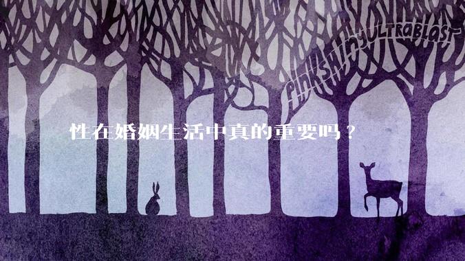 性在婚姻生活中真的重要吗?